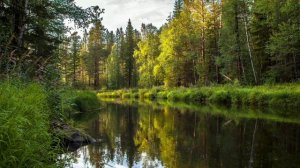 Мужчины в роду, признание их