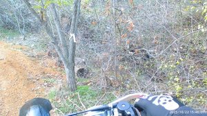 Джарвис сырость