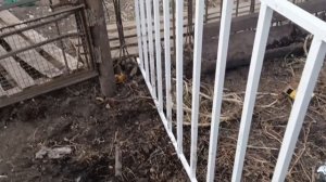 Погодка даёт даботать