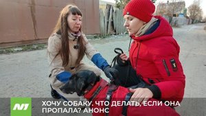 Что делать, если пропала собака и как этого избежать. Программа «Хочу собаку». Анонс