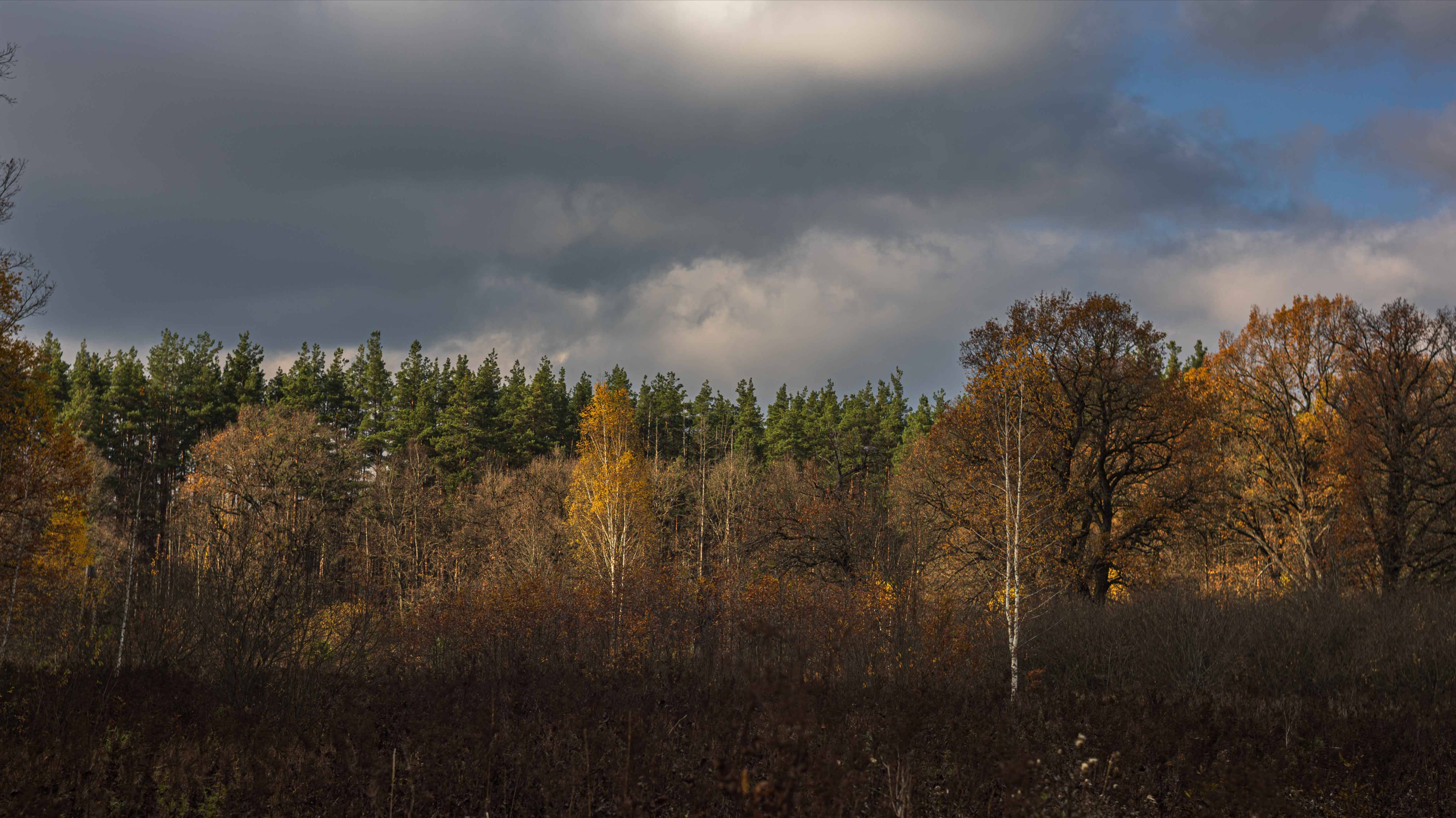 Canon R8-10... Радиостанция и проверка маяка !!! смотреть онлайн