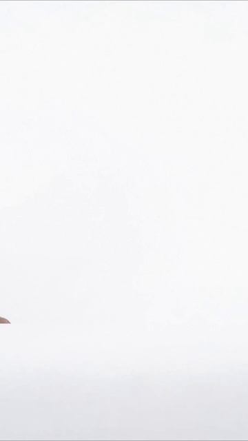 Пиши любимую строчку из «Мона Лиза» 👇 смотреть онлайн