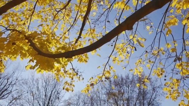 23 октября - Этот день изменит вашу жизнь.