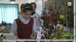 Дег1а могашал дика йоацача берий говзал гойтар