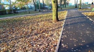 🍁Осень золотая 🍂