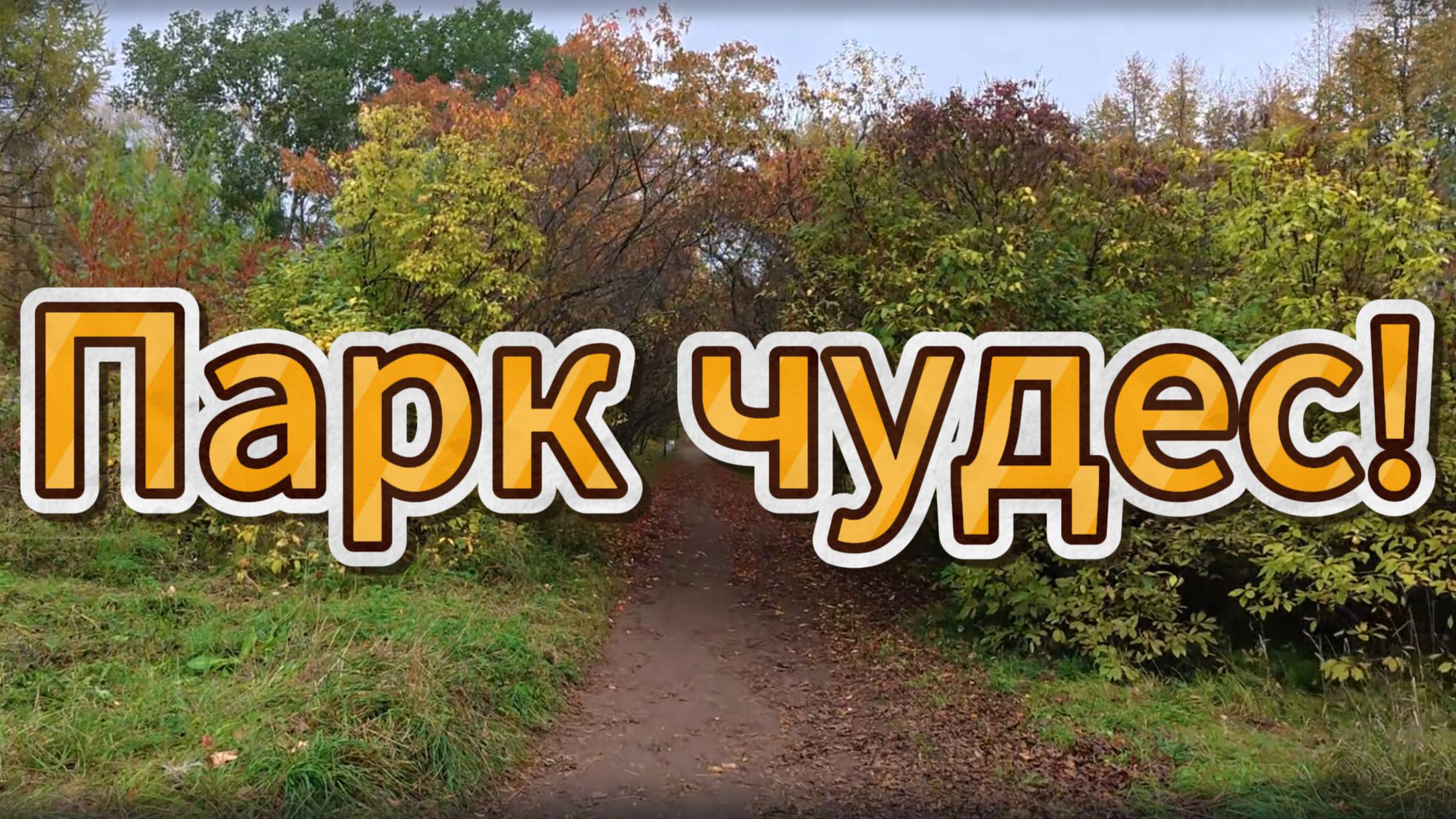 Прогулка по осеннему дендропарку