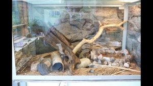 Краеведческий музей города КОТКА ч4