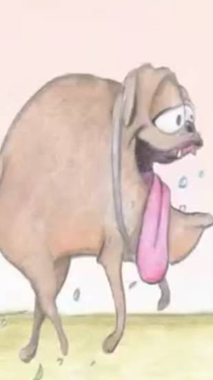 Почему собака лает смотреть онлайн