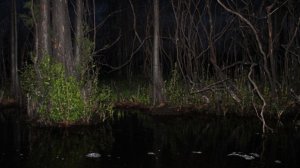 Билл и Атбаш Шифр: новое приключение