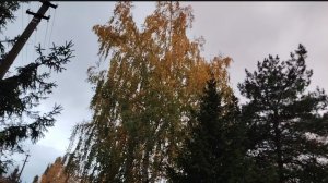 Только так и никак иначе❗☺️
