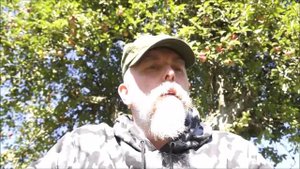 About the migrant crisis