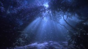 Ｔｈｅ　ｃｏｍｆｏｒｔ　ｏｆ　ａｎ　ｅｍｐｔｙ　ｒｏｏｍ．．