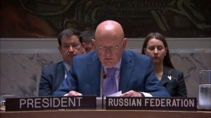 Statement by Vassily Nebenzia at UNSC Open Debate on Kosovo