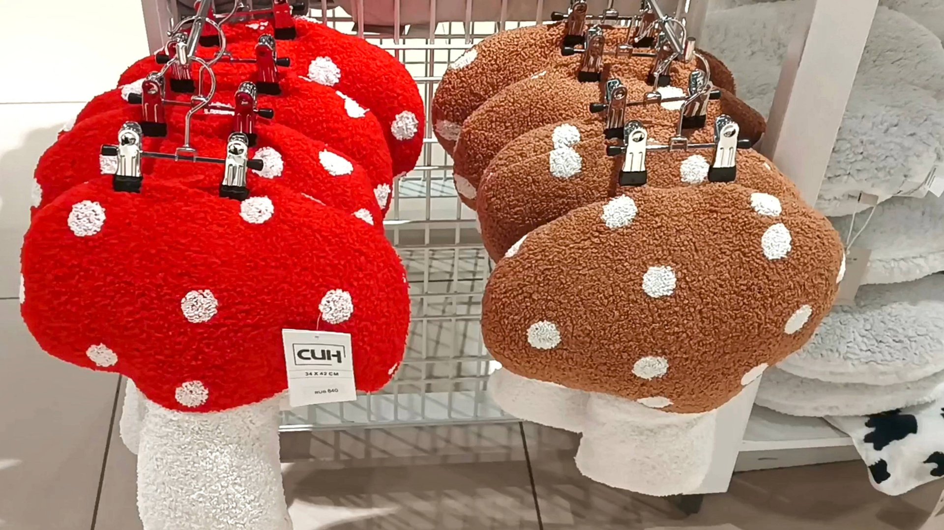 🍂🦔СИН🍄ДЛЯ  ДОМА🍂