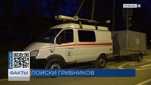 Пропавших четыре дня назад в лесах Кубани супругов нашли живыми