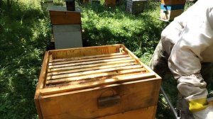 Что по мёду?