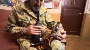Ну посмотрите на эту МИЛОТУ, Анфиса и Финик по очереди кушают кашу)