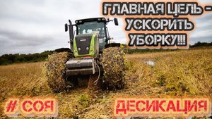 «Десикация сои под угрозой: трактор в плену у грязи»/class axion 950 как всегда выручает!!!