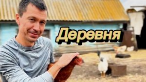 Где твои корни?