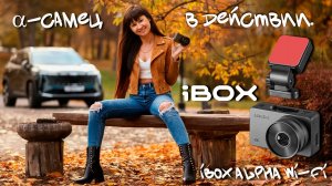 Альфа-самец в действии. iBOX Alpha Wi-Fi