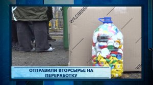Отправили вторсырье на переработку