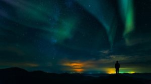 Дикая природа 4К 8К Full HD ультра (Wildlife 4K 8K Full HD Ultra)