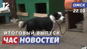 Поддержка приюта / Международный фестиваль «Окно» / Модернизация учебных заведений. Новости Омска