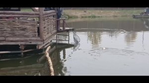 1000004158.mp4