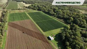 Агропромышленный комплекс 2023: Растениеводство