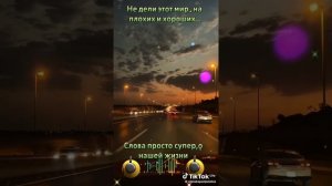 всё это суета