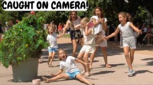 Ultimate bushman _“Proof Humans Shouldn’t Be Left Unsupervised 🤣