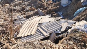 С весны не убирают власти опасную свалку останков скота
