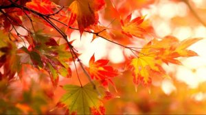 7. После отпуска часть 2