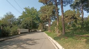 Прогулка по Рустави 09.10.2025 (улица Терентия Гранели в Интернатах)