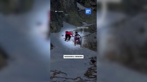 Альпинисты с младенцем застряли на горе