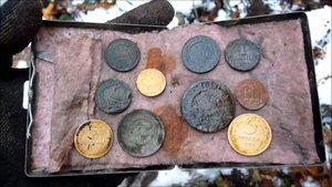 АРХИВ. Коп монет по первому снегу.