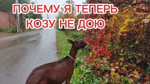 ПОЧЕМУ Я НЕ ДОЮ КОЗУ . ДОРОЖНАЯ СЛУЖБА И НАША ДОРОГА. КОГДА ЗАПУСКАТЬ КОЗУ. КОЗЫ И ДЕТИ.