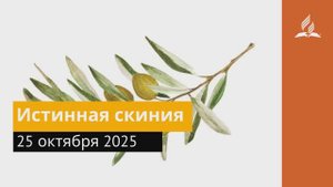 25 октября Истинная скиния. Под сенью благодати.