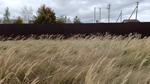 д. Ивановка, ул. Ивановская