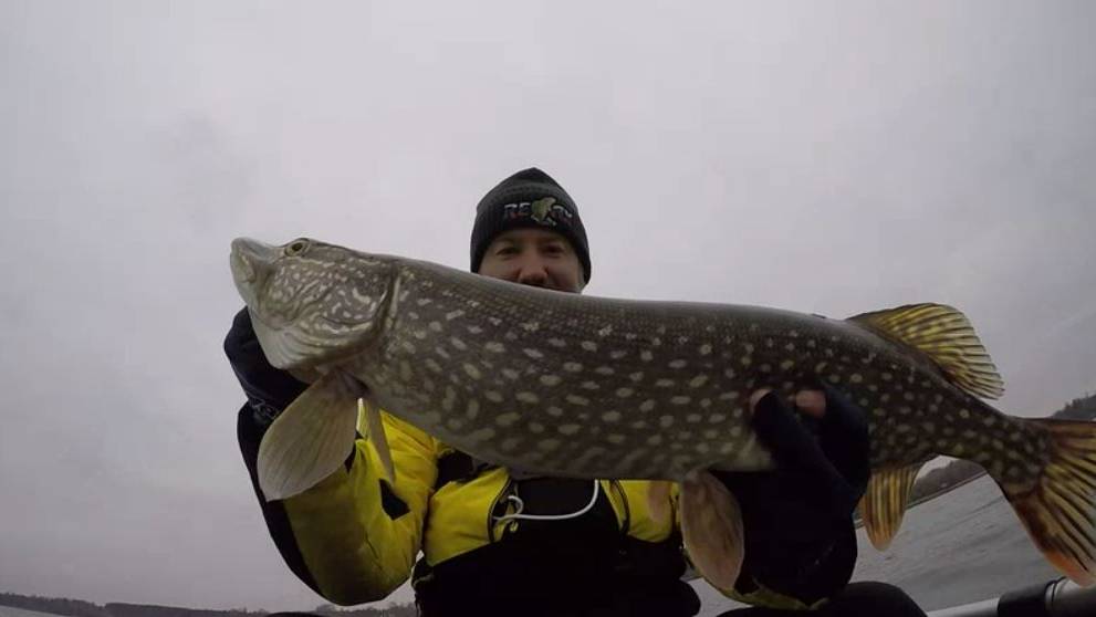 Наловил щуки без эхолота на лодке с веслами, приманки для пассивной щуки. смотреть онлайн
