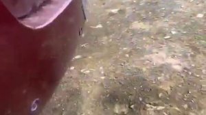 WhatsApp Video 2025-10-22 at 09.01.39 (1)