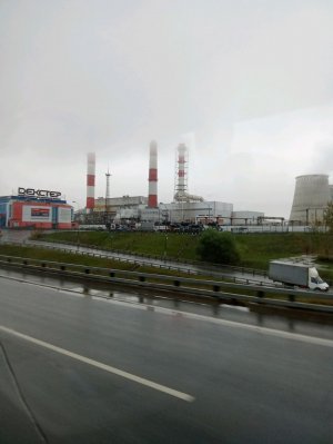 тестирование сырков