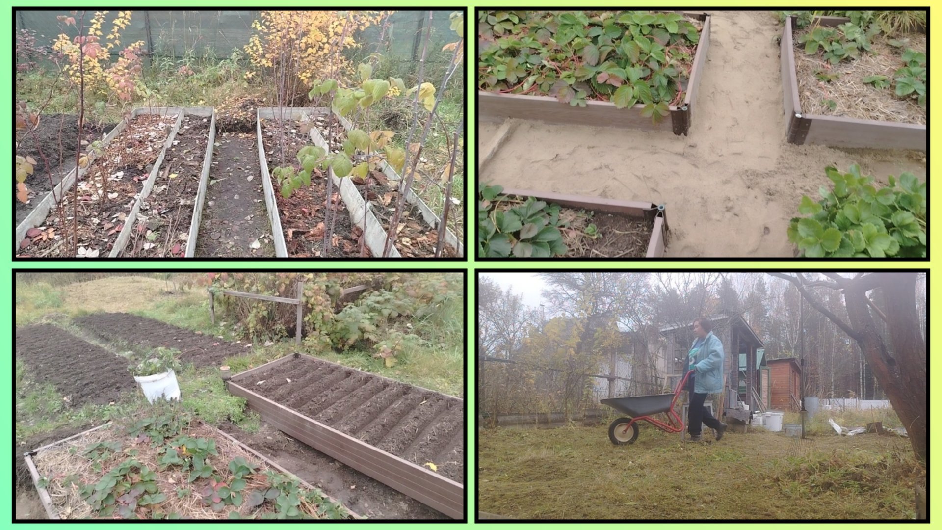 47/2025 ЧЕМ ЗАНЯТЬСЯ НА ДАЧЕ В ОКТЯБРЕ?