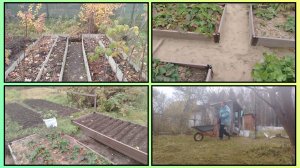 ЧЕМ ЗАНЯТЬСЯ НА ДАЧЕ В ОКТЯБРЕ? 48/2025