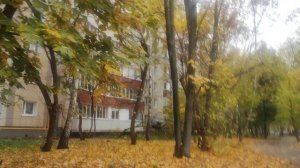 21 октября прогноз погоды от волшебника творите добро на земле....