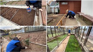 11 октября. Посадка озимого лука. Окучиваю розы. В городе нет бензина