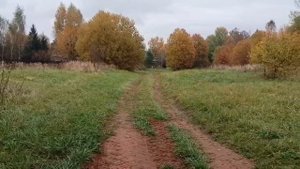 деревня Вяземское 50:18:0070440:924