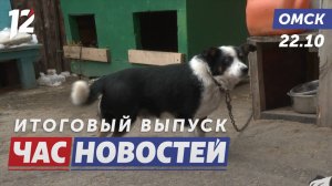 Поддержка приюта / Международный фестиваль «Окно» / Модернизация учебных заведений. Новости Омска
