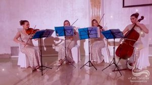 Живая музыка на новый год в Москве - заказать струнный коллектив на праздник и корпоратив