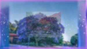 Самые красивые цветущие деревья